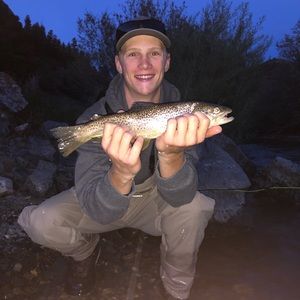 Meet your Posher, Isaac